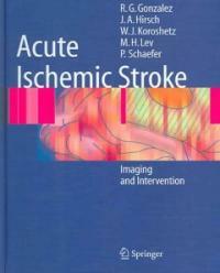 Acute ischemic stroke : imaging and intervention