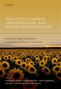 Resilience in energy, infrastructure, and natural resources law : examining legal pathways for sustainability in times of disruption